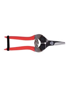 ARS Fruitschaar 16cm, recht, rood